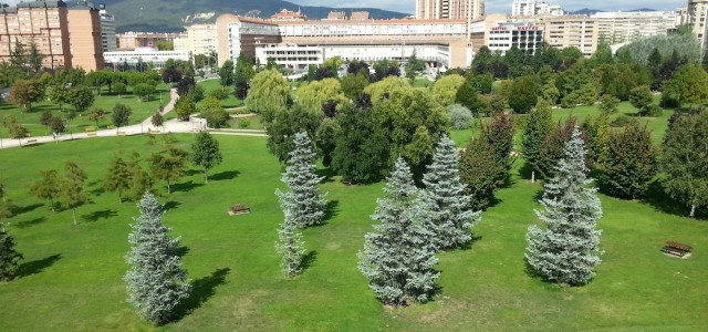 Situacion de la Pension en Pamplona